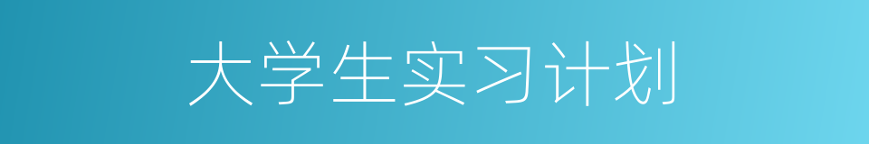 大学生实习计划的同义词