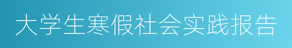 大学生寒假社会实践报告的同义词