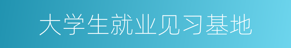 大学生就业见习基地的同义词