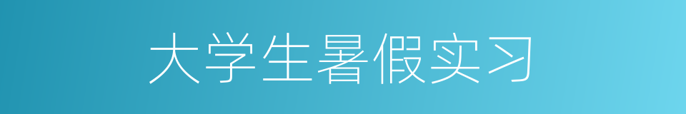 大学生暑假实习的同义词