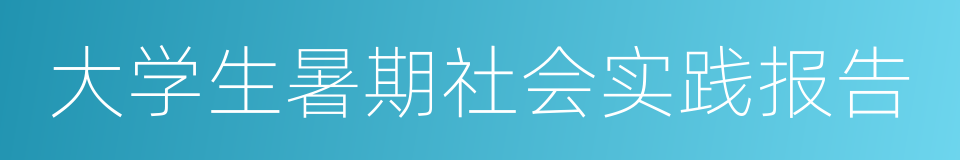 大学生暑期社会实践报告的同义词