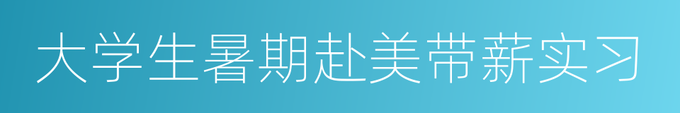 大学生暑期赴美带薪实习的同义词