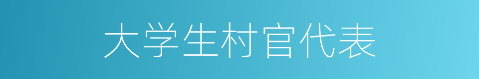 大学生村官代表的同义词