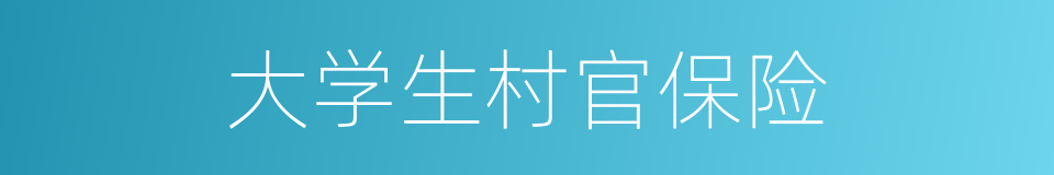 大学生村官保险的同义词