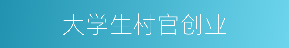 大学生村官创业的同义词