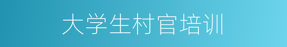 大学生村官培训的同义词