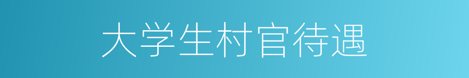 大学生村官待遇的同义词