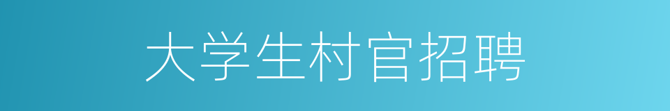 大学生村官招聘的同义词