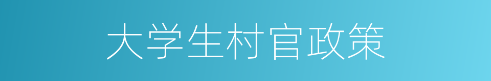 大学生村官政策的同义词