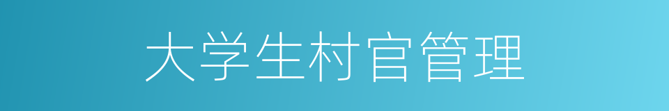 大学生村官管理的同义词