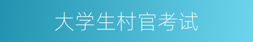 大学生村官考试的同义词