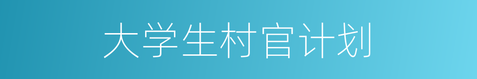 大学生村官计划的同义词