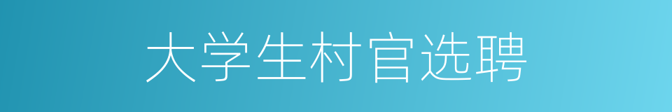 大学生村官选聘的同义词