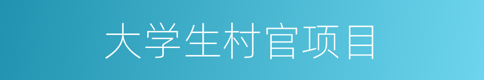 大学生村官项目的同义词