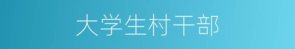 大学生村干部的同义词