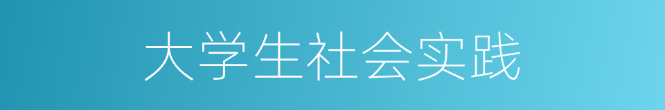 大学生社会实践的同义词