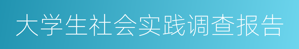 大学生社会实践调查报告的同义词