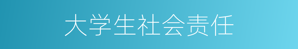 大学生社会责任的同义词