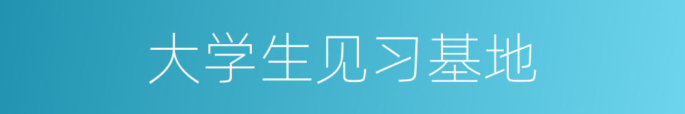 大学生见习基地的同义词