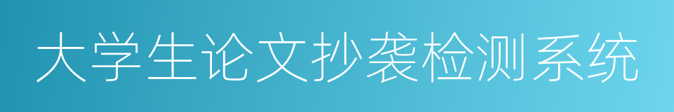 大学生论文抄袭检测系统的同义词