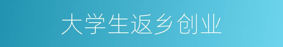 大学生返乡创业的同义词
