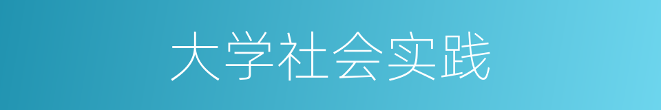 大学社会实践的同义词