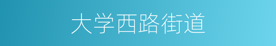 大学西路街道的同义词