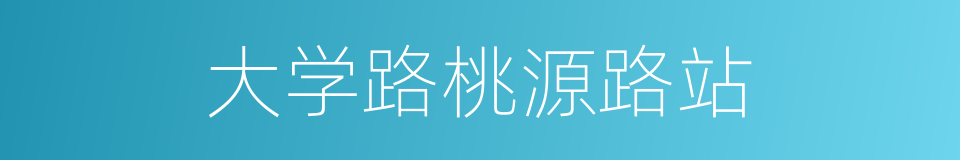 大学路桃源路站的同义词