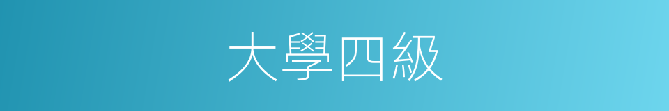 大學四級的同義詞