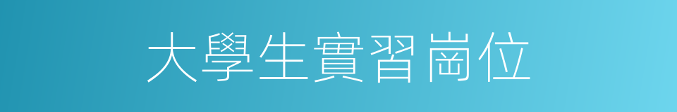 大學生實習崗位的同義詞