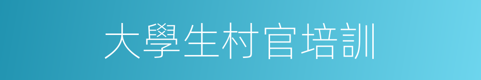 大學生村官培訓的同義詞