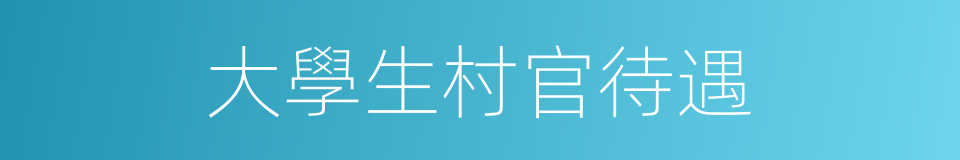 大學生村官待遇的同義詞