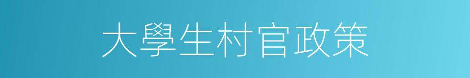 大學生村官政策的同義詞