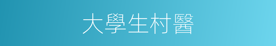 大學生村醫的同義詞