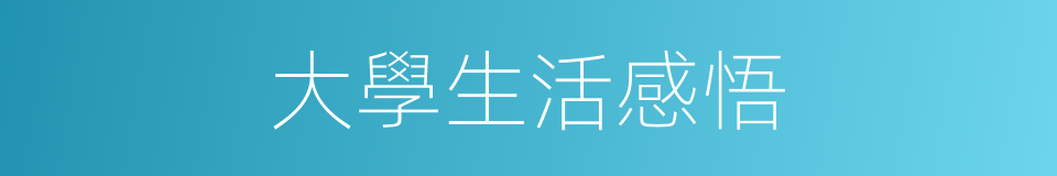大學生活感悟的同義詞