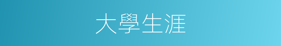大學生涯的同義詞