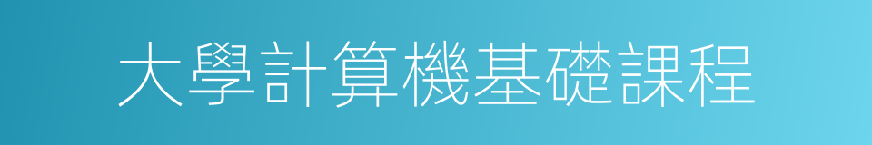 大學計算機基礎課程的同義詞