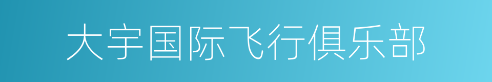 大宇国际飞行俱乐部的同义词