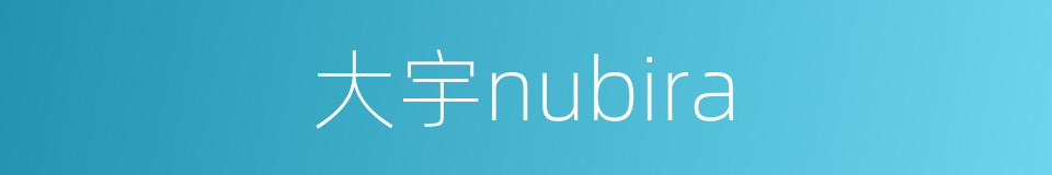 大宇nubira的同义词