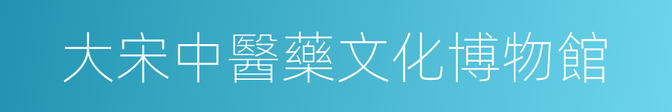 大宋中醫藥文化博物館的同義詞