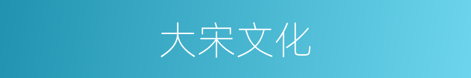 大宋文化的同义词
