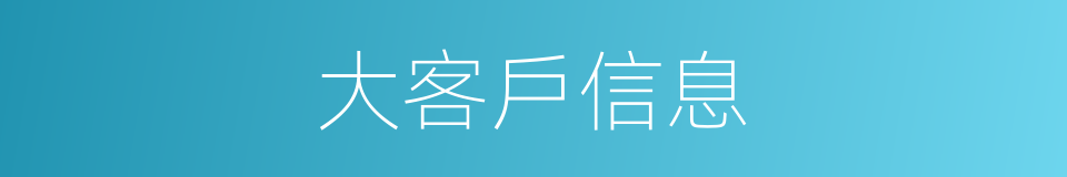 大客戶信息的同義詞