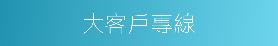 大客戶專線的同義詞