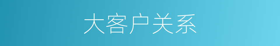 大客户关系的同义词