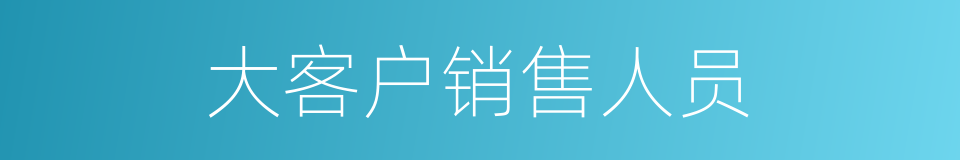 大客户销售人员的同义词