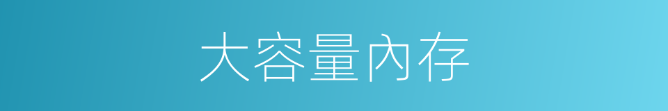 大容量內存的同義詞