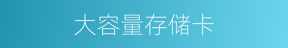 大容量存储卡的同义词