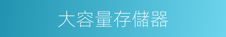 大容量存儲器的同義詞
