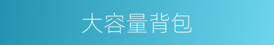 大容量背包的同义词