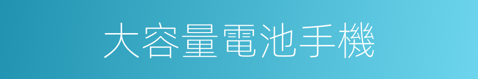 大容量電池手機的同義詞